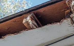 Rotten fascia and soffit