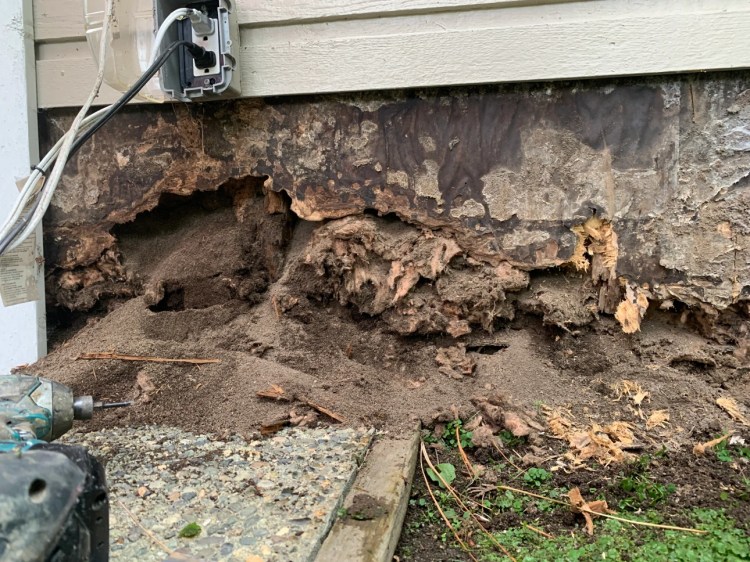 The condition of the wall after the Cedar siding was removed shows that the weather barrier and sheathing are completely absent, and the studs are compromised.